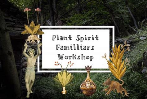 The Essence of Plant Enchantment: A Guide to Crafting Herbal Talismans